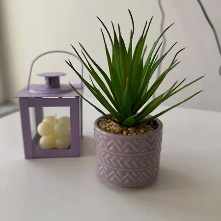 Hyacinthi Tertseti Thessaloniki